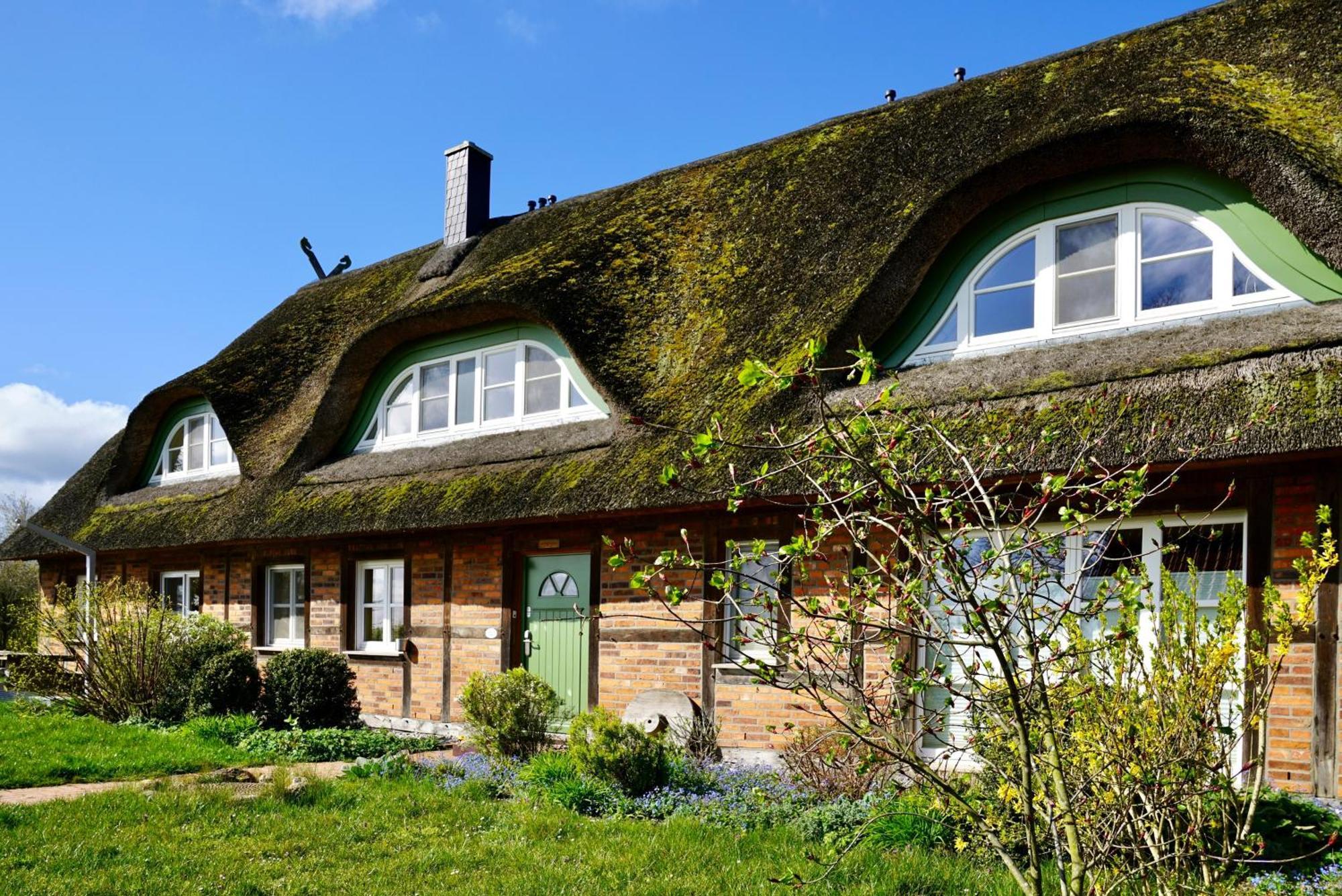 Reethaus Mertinat For Ten Insel Poel Exterior photo